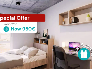 Special Offer - Good Suite